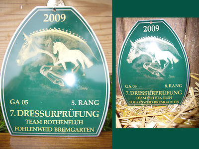 News - 2009 - Dressurtagen Bremgarten