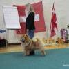 B-Wurf: Bodyguard - 2012 - Oktober - SCCC Clubschau (2)