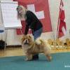 B-Wurf: Bodyguard - 2012 - Oktober - SCCC Clubschau (1)