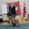 B-Wurf: Bodyguard - 2012 - Oktober - SCCC Clubschau (4)